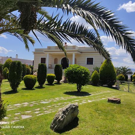 Luxury Villa Thea Βόλος Εξωτερικό φωτογραφία