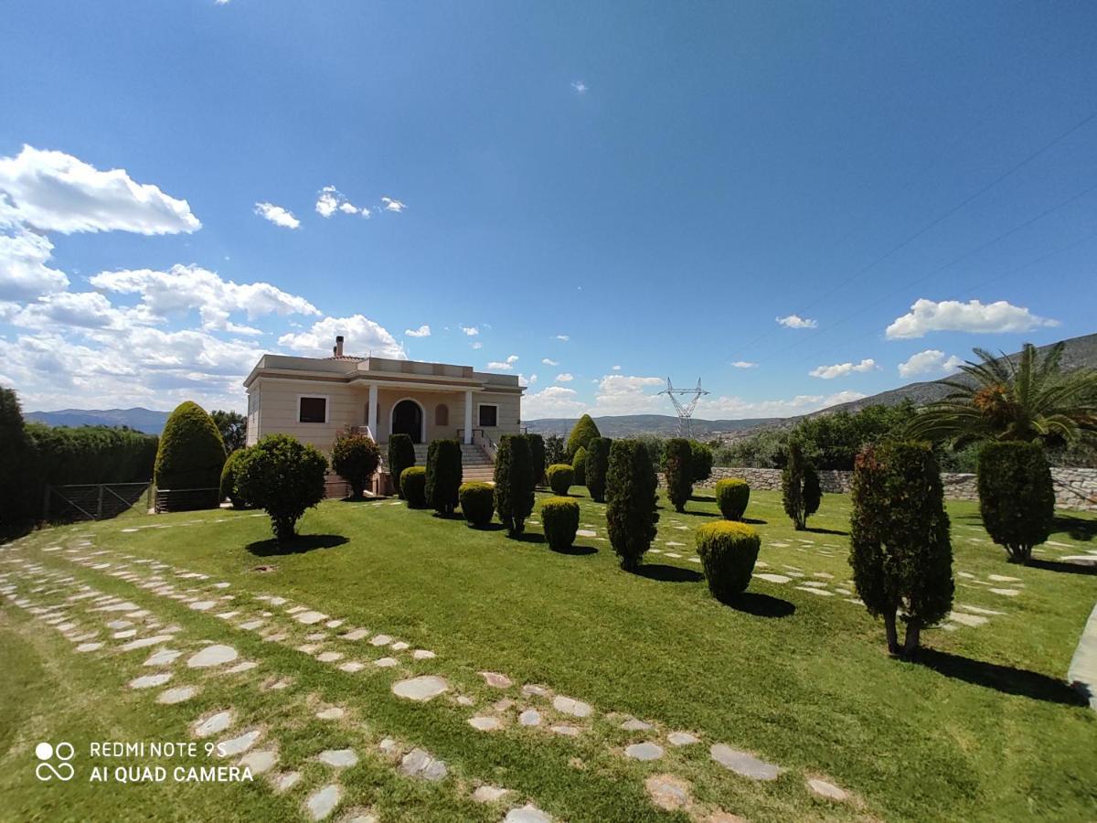 Luxury Villa Thea Βόλος Εξωτερικό φωτογραφία