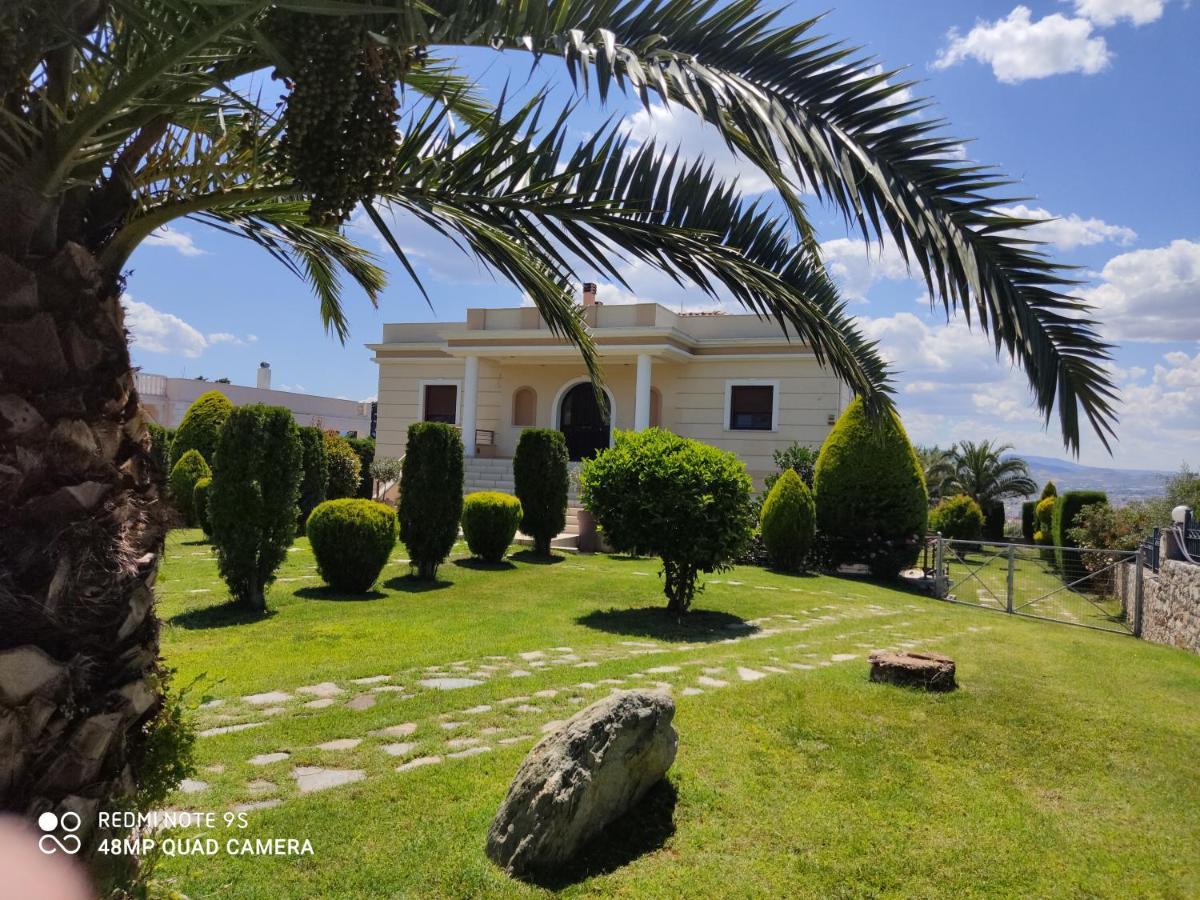 Luxury Villa Thea Βόλος Εξωτερικό φωτογραφία