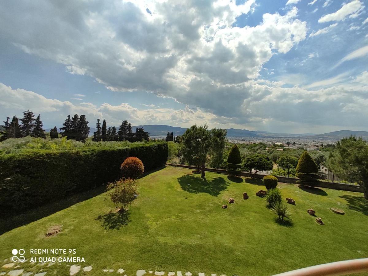 Luxury Villa Thea Βόλος Εξωτερικό φωτογραφία