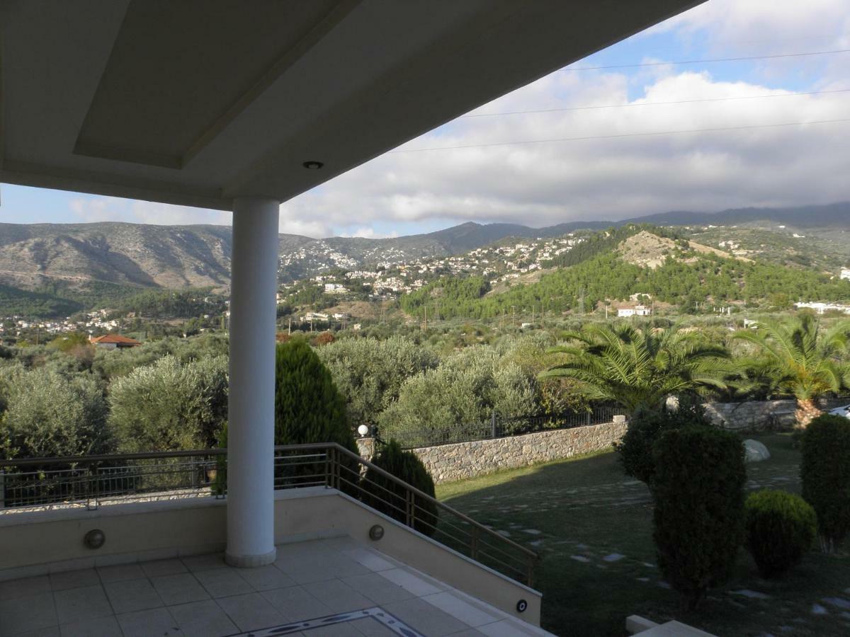 Luxury Villa Thea Βόλος Εξωτερικό φωτογραφία