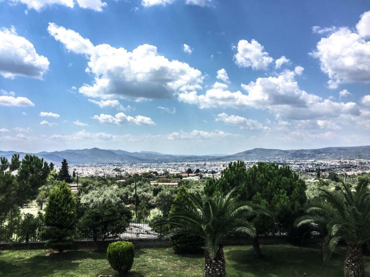 Luxury Villa Thea Βόλος Εξωτερικό φωτογραφία